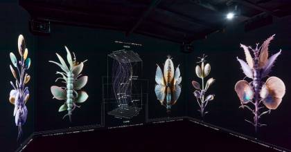 More Than Human – Felfelé hulló eső, elektromos papucsállatka és xenobotok a Light Art Museum negyedik tárlatán