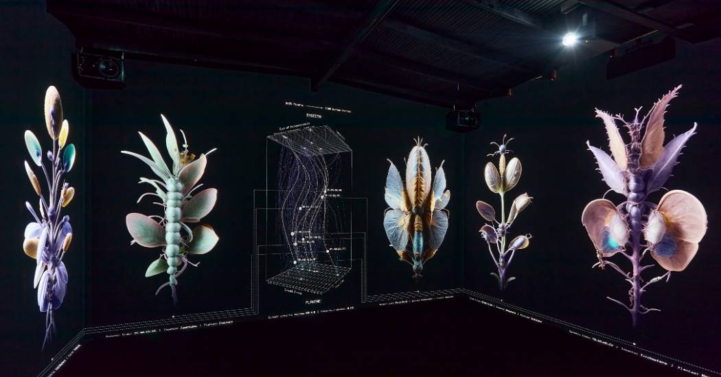 More Than Human – Felfelé hulló eső, elektromos papucsállatka és xenobotok a Light Art Museum negyedik tárlatán