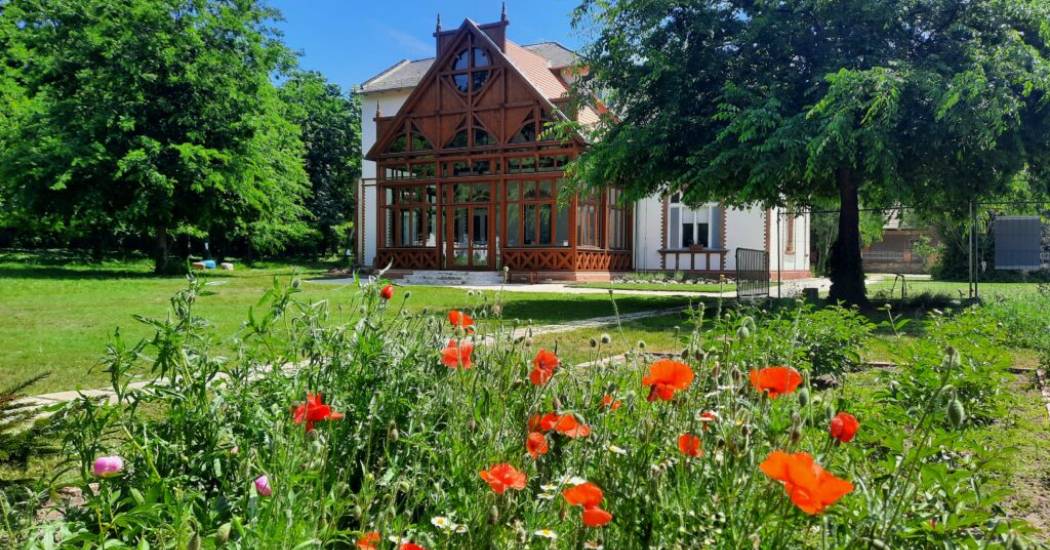 Fenntarthatóság a közgyűjteményekben – Megjelent a Múzeumi Iránytű Zöld múzeum kötete