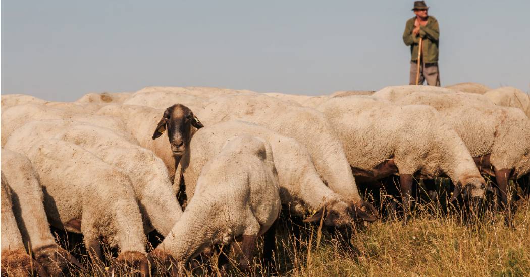 Szeged és a vármegyei legjobb sajtófotóit mutatják be a Móra-múzeumban