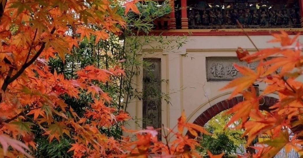 Felhívás muzeális intézmények részére a 21. Múzeumok Őszi Fesztiváljára