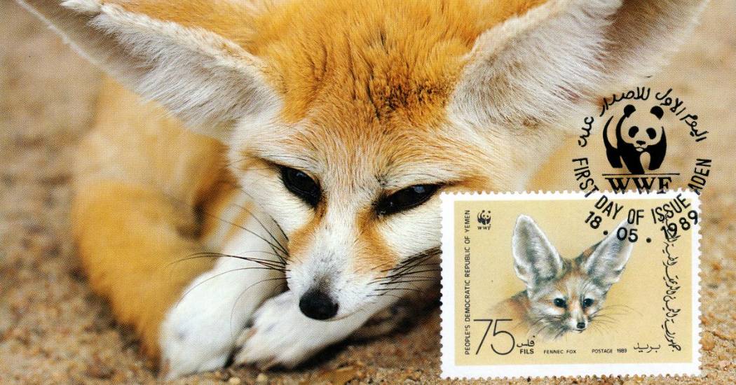 Hogyan kerülnek a levelekre pandakölykök? – Természetvédelem a Bélyegmúzeumban